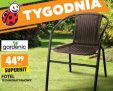Fotel technorattanowy [Biedronka]